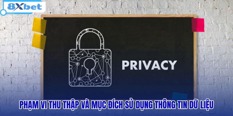 pham-vi-thu-thap-va-muc-dich-su-dung-thong-tin-du-lieu pham-vi-thu-thap-va-muc-dich-su-dung-thong-tin-du-lieu